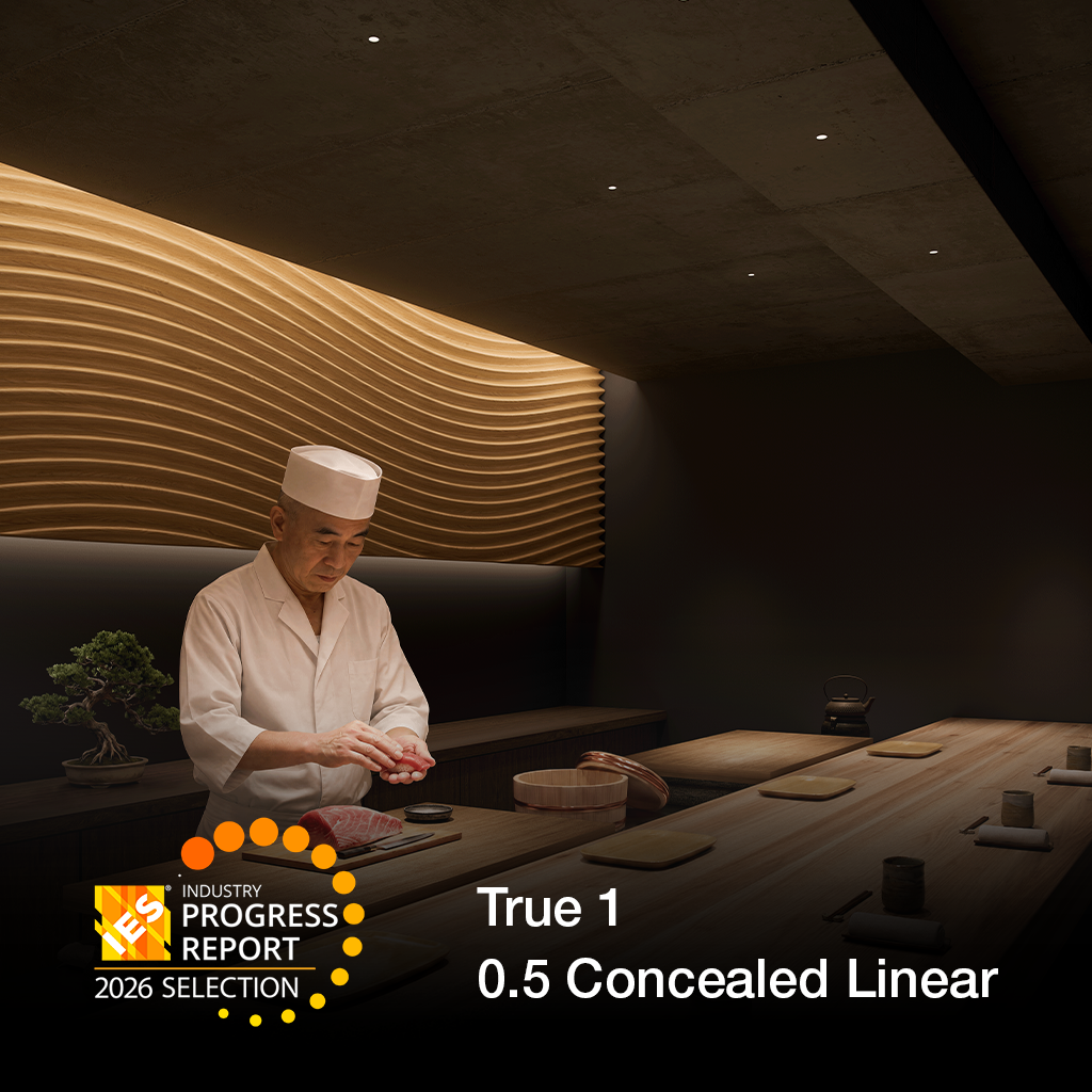 DMF Lighting True 1 and 0.5 Concealed Linear recognized in the 2026 IES Progress Report.